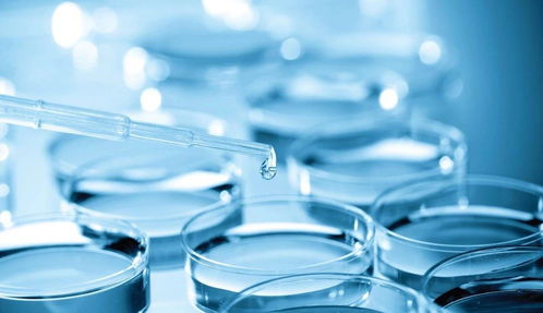 專利變現(xiàn)還是技術(shù)突圍？熱景生物科創(chuàng)板IVD首秀背后的市場(chǎng)考驗(yàn)